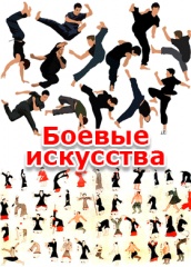 Боевые искусства