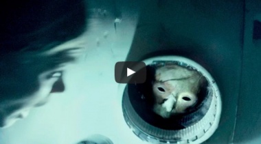 Секретные эксперименты в советских лабораториях СССР.