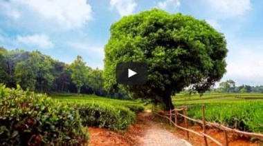 Лучшая музыка для души. Аудио слушать.