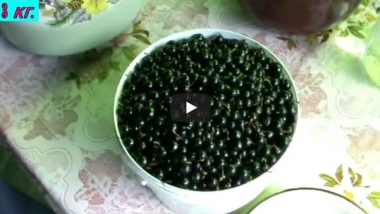 Вино из черной смородины*ИГРИСТОЕ* Wine from black currant.