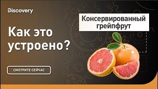 Консервированный грейпфрут. Как это устроено? Discovery.