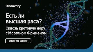 Есть ли высшая раса? Сквозь кротовую нору с Морганом Фриманом. Discovery.