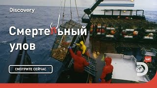 Все или ничего! Смертельный улов. Discovery.