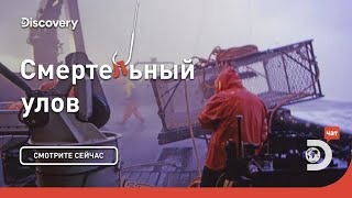 Золото Аляски. Смертельный улов. Discovery.