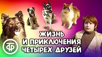 Жизнь и приключения четырех друзей 4 серии, 1980-1981.