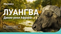 Луангва. Дикие реки Африки. Discovery.