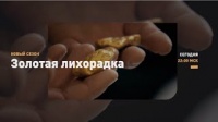 Новые вызовы. Золотая лихорадка. Discovery.
