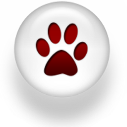 Мир животных